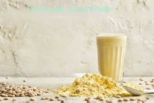 Hydrolyzed Lupine Protein Hydrolyzed Lupine Protein